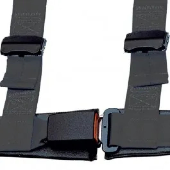 Schroth - Rallye Cross asm schwarz mit schwarzem Flock links